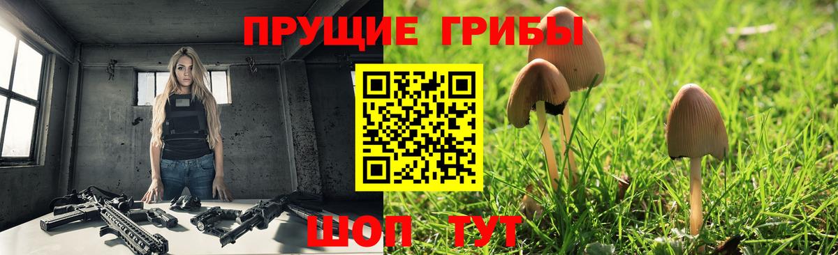 Тихорецк  Псилоцибиновые грибы Magic Shrooms  Вход с VPN 